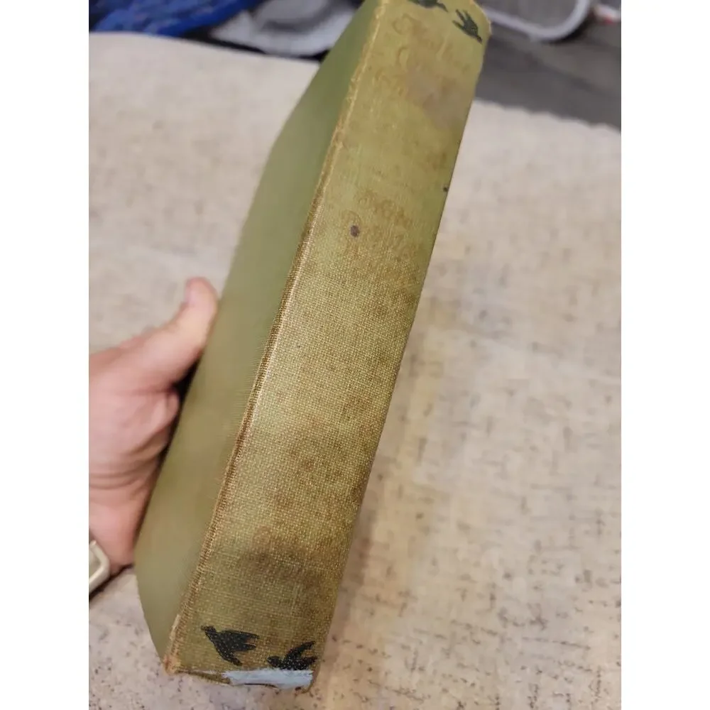 1911 Mother Carey's Chickens Kate Wiggins, 1911 HC